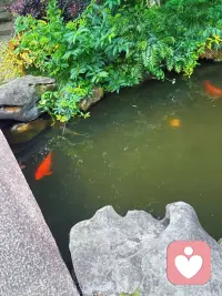 无论是和外界的他人比较，还是和内心的“理想自己”较劲，本质上都是把自己当成了一把冰冷的尺子，用来丈量“够不够好”。可当我们放下这把尺子，去和身体的疲惫、呼吸的节奏、心底的小确幸这些真实感受相遇，去拥抱那个会累、会慌、会偷偷开心的自己时，才终于把自己当一个有温度的人来疼。别总做丈量自己的尺子了，先和真实的自己好好拥抱，这才是爱自己的开始啊。配图