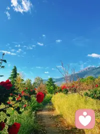 很多东西无需多言，经历本就如同自然四季。风来云走，花落潮生，所有委屈与释怀都默默沉淀，不必尽数倾诉。岁月无声浸润心底，那些走过的坎坷、看清的人心，早已像春雨润万物般，悄悄抚平浮躁，沉淀出独属于自己的通透与从容。配图