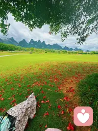 只追逐价格而忽略价值，用青春、健康换金钱，重速度而轻品质，皆是人生的弯路。眼前得到的利益，往往是以消耗自身珍贵的部分作为代价。配图