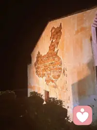 无论是“越缺什么，就越炫耀什么”，还是“自己缺什么，便总觉得别人在炫耀什么”，本质都是内心的投射。自己心里究竟是什么状态，其实自己最为清楚，不必向外寻求他人的评判与答案。