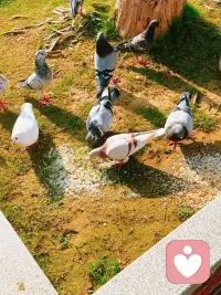 好人未必就会得到善报，坏人也不一定会迎来恶果。世间的因果并不总是简单对等。真正强大的人，懂得主动捍卫自身的权益，守住自己的边界；而内心软弱的人，不懂得保护自己，反而处处承受伤害，屡屡吃亏受报。