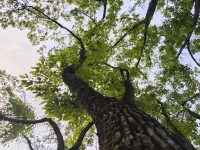 改變
認識自己是改變的第一步。自我覺察是成長的基石。
真正的自我認識不是靜態的“找到答案”，而是動態的覺察-體驗-修正循環。
當你開始觀察自己的思維如何運作、情緒如何流動、行為如何產生——改變已然在發生。
你既是探索者，又是被探索的宇宙。配圖
