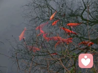 为什么你越想把股票卖在最高点，越容易卖飞？

你有没有这样的经历：

一只股票拿了好久，终于开始涨了。你心里暗暗给自己定了个目标：到XX元就卖。

真到了那个价位，你又想：涨得这么好，说不定还能再冲一冲。

结果它开始回落。你想：等反弹就卖。但它一路向下，你的盈利一点点被吃掉。

终于你受不了了，在几乎没赚什么钱的位置卖掉。卖掉之后没两天，它又涨回去了。

你对自己说：下次一定果断。

可下一次，同样的剧本，同样的结局。

这不是你运气不好，这是你的大脑在“保护”你。

用心理学的视角来看，这种“卖飞”背后，往往有两个东西在起作用：

第一个叫“完美主义期待”

你的大脑告诉你：只有卖在最高点，才算“对”。只要不是最完美的操作，就是失败。

这个声音听起来像在帮你追求最好，实际上它在让你动弹不得——因为没人能永远卖在最高点。

第二个叫“后悔恐惧”

你害怕的不是“少赚了钱”，而是“本可以赚更多”的那种后悔感。为了逃避未来的懊悔，你宁愿在当下继续等。

这两个声音加在一起，就形成了那个经典的心理模式：贪婪让人拿着，恐惧让人错过。

一个可以立刻用的方法：给自己设一个“傻瓜线”

下次当你决定卖出一只股票时，试着这样做：

在买入的时候，就想清楚：这只股票，我打算在什么价位卖？（可以是一个区间，不是一个点）

把这个价位写在手机备忘录里，或者告诉一个信得过的人。

到了那个价位，不看盘，直接卖。

这个方法不保证你卖在最高点，但它能帮你从情绪的拉扯中跳出来。你卖的“不是最高点”，而是“我事先想好的那个点”。就这一个心理转换，就能让你少很多纠结。

如果你发现，这种“卖飞”的模式反复出现，不仅是在股市里，也在工作、生活的选择中——欢迎来找我聊聊。我们或许可以一起看看，是哪个声音一直在替你“做决定”。


专注：交易心理|人生决策|中年成长|职业压力|家庭关系