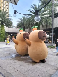 愛自己的最好方式：當個孩子
小小寶，曾經為了逃離內在的害怕和脆弱，我想著快點長大，像大人一樣去長大，以為就沒有脆弱，沒有害怕了，長大之后，我們就可以掌控更多東西了，匆忙著急的去長大

遠離了孩子的天真，然而我就這樣長大了，可是當我再一次見到卡皮巴拉時，不是頭腦的思考，而是身體很直接拿起手機，然后就去開心拍照了

哇，我好幸運，我自己做了這個決定，我好幸運，我把它拍下來了，我就發現，我再一次連接上那個早年為了匆忙長大，而遠離了自己的內在部分

讓我體驗到成年人的身體里，還有一個天真、流動、純真的部分