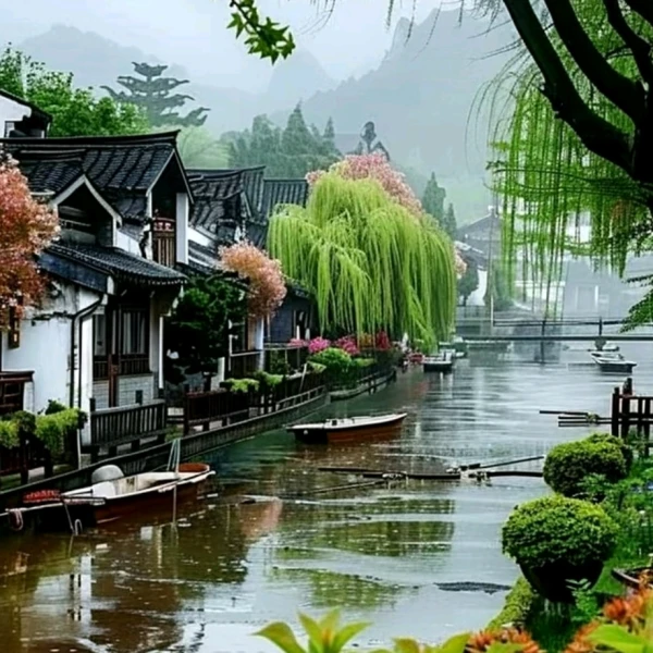 思雨倾听