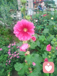 愛亦不愛我都在配圖