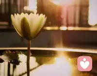 人这一生，总有人在渡你。有人把你捧在手心、护你周全，也有人让你受委屈、经风雨，可无论他人如何待你，皆是渡你的机缘。他人待我，是我的因果；我待他人，是我的修行 —— 这话总让人心里清明。向来信 “有缘躲不过，无缘碰不到”：缘起时便好好相聚，缘尽时便坦然分散，一切随缘而至就好。凡事不必太执着，深缘就多相伴，缘浅就随它去，把心放宽，才不负这一场人间相逢。配图