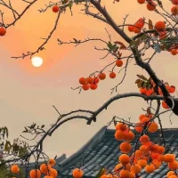 走自己的路，不慌不忙，
修自己的心，默默发光，
曲曲折折的路总有它的道理，
只希望蕞后一页，是花开万里。