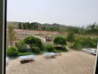 高質(zhì)量的獨(dú)處，遠(yuǎn)勝于低質(zhì)量的社交！配圖