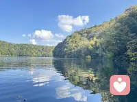 “疲憊的生活 真的需要一個精神寄托
 所以樂觀和懂你的人 才是疲憊生活中的解藥”。配圖