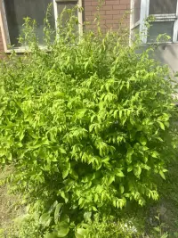 想找我聊天的小伙伴來吧！配圖