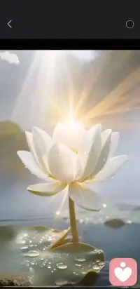 早安配圖