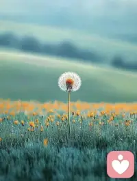 輕松
