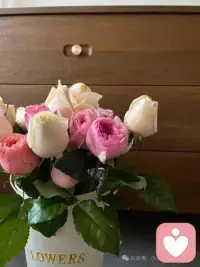 無法形容的心情配圖