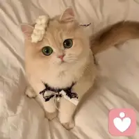 我在路上