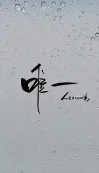 若人生只如初見配圖