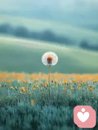 坦然接受多面的自己