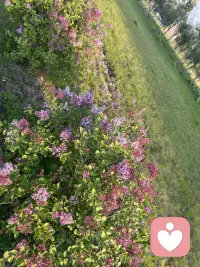 今天很冷
記得添加衣服
早安配圖