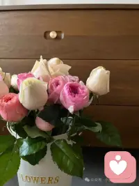 擺脫舊的思維習(xí)慣
嘗試新事物配圖