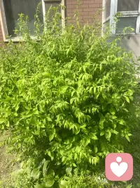 我們的內心，有著做出每一個決定的基礎和參考，我們最應該做的不是揣摩別人，而是探究自己，認清自己所愛，也直面自己所怕，活出自己喜歡的活法