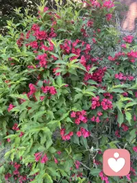 有時害羞扭捏，有時又自信堅定；有時沉默寡言，有時又非常健談；有時傷感無奈，有時又開朗灑脫；有時膽小懦弱，有時又堅強勇敢，你是不是常常感到困惑，究竟哪個才是真正的自己？配圖