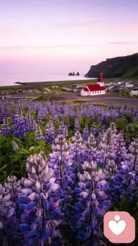 我们可以将关注点多放在自己身上，用自己敏感的天赋去感知自己的每一处变化，让自己的变化成为情绪的来源，而不是将自己情绪的好坏寄托在他人身上