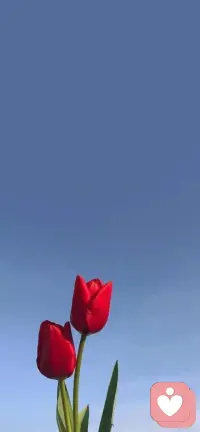 依赖与独立从不是相互对立的两面，真正的独立，是敢于独立，不惧依赖，接受软弱，也不怕亏欠，是一种“依赖的自由”