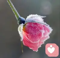 人的一生，无论是朋友还是对手，都是走了又来，来了又走，真正意义上能够对我们的生活和选择造成影响的，唯有我们自己，我们最大的对手，也是自己配图