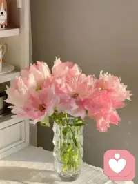 每个生命都有自己独特的节奏，鸟儿不会与猎豹比跑步，猎豹不会与鱼儿比游泳，大家各有所长，与其徒劳地和他人比较，羡慕别人的特长，不如挖掘自己的能力和才华，进一步认识自己、欣赏自己配图