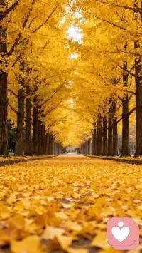 人生的选择多元，行进的节奏也各有不同，只要自己的内心充盈而坚定，在你自己的时区里，没有早一步，也没有晚一步，一切进行得都是刚刚好，所以别急着探寻结果配图