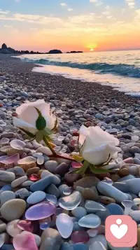 多给自己一点耐心，找准真正适合自己的节奏，不必去追赶什么人，也别急着完成什么任务，该休息时就养精蓄锐，该行动时就全力以赴，会更容易取得期待中的结果配图