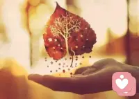 我们常常忽略了一点，每个人都有自己的优劣势，再完美的人也有缺点，我们无须削足适履，将自己塑造成外界理想的模样，你永远不可能让所有人都满意，因为有人喜欢真实的你，就有人喜欢你理想中的你配图