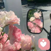 很多时候，我们所羡慕的别人的样子，其实可能是源于一种情绪错觉，因为我们并不能完全体验别人的生活，自然也就不能了解到对方最真实的样子，我们看到的，都是对方想让我们看到的部分而已，就像我们自己，通常向外界展现的，也只是我们希望别人看见的那部分配图