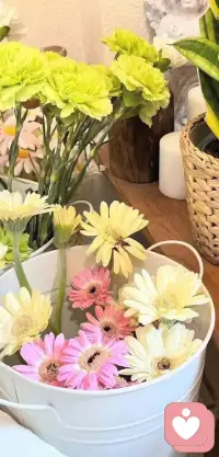 一味地否定自身的缺点，是拒绝成长的表现，毕竟，改变总是在看见和接纳之后，发现自身不足，才能加以改正，之后才得以蜕变成更好的自己配图