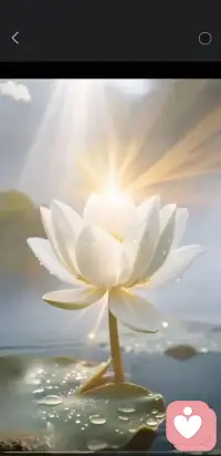 怎么确定这件事情是否值得呢？所谓“值得”与“不值得”并不是靠他人眼中的标准来评判的，而在于我们自己的内心是衡量配图