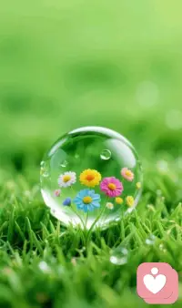 世上的花不止一种，所谓花语也都是人为定义的，我们不能因为喜欢玫瑰的人多，就说薰衣草不配代表爱情配图