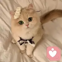 人生本没有标准，假使有标准，也应该来源于我们自己的心，接纳自己、喜欢自己、成为自己，才是我们最应该思考的事情配图