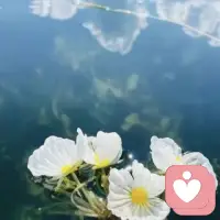 取悦自己，不能按世俗的条条框框要求自己必须去做什么，而是要发自内心地想要做一件事、发自内心地因为这件事而感到快乐配图