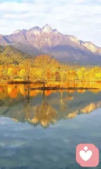 我们生来就是独立的个体，该有着自己的生活体系，请遵从自己的心意，做一个完完全全属于自己的人配图