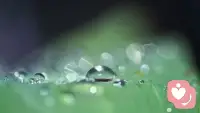只要我们的心是坚定的，是愿意努力的坚持的，当我们迈出第一步时，就已经走在了自己想走的那条路上配图