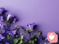 有时候，我们并不是真的会全然没有一点儿时间和精力去做出改变，只是将外界的诸多因素当作借口来安慰自己，不努力也没关系，反正那么多人阻止我，反正也没可能了，别人如何评判和干预我们的生活并不可怕，最可怕的是，我们自己模糊了心中的目标，放弃了对梦想的坚定，真的迷失在了他人的声音里配图