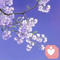 接纳情绪，才能释放情绪，在紧张与不安时，去找寻一个轻松的呼吸节奏，让紧张的心绪随着呼吸的起伏恢复平静，然后用更加客观和冷静的心态，重新去审视眼前的问题