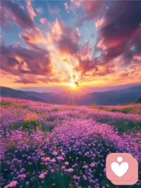 一旦你接纳了自己的情绪，你解决问题的效率反而会变得更高，那些令人不安的难题也就迎刃而解了