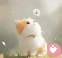 用自己的节奏生活，别模仿别人，也别和别人比较什么，我们生来与众不同，每个人该走的路都不一样，不要因为无关的他人而扰乱了自己的节奏配图