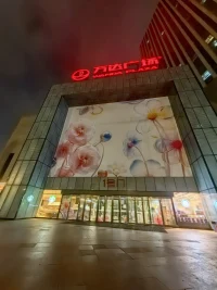 你有沒有過這樣的感覺：我不是不想自律，是身體不聽我的話。
你以為是意志力不夠，其實這是上癮性行為在慢慢偷走你的人生。配圖