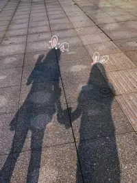 【月光與詩，皆是你】  

我們并肩走在路燈下，影子被拉得很長，像兩行未寫完的詩。你忽然伸手摘走我發間的落葉，指尖的溫度比晚風溫柔。  

“看，我們的影子在接吻。”你指著地面輕笑。  

原來愛不必宣告世界——便利店分享的冰淇淋，暴雨天共撐的外套，手機里存了一萬張的偷拍照……這些瑣碎的光亮，足夠照亮整個宇宙。  

同性又如何？心跳從不說謊。??配圖