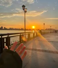 生活不是選擇，而是熱愛，心如草木，向陽而生，把美好寫進生活里，我們的日子都會發(fā)光。