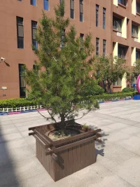 休言山高路且長，
一步一步即康莊。
今朝埋首積微力，
他日振翅越重洋！配圖