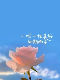 救世主是沒有的，只有自己救自己配圖