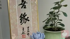 证书